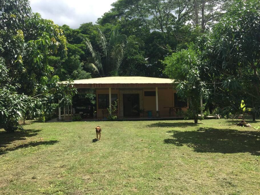 Casa A 26 Kilometros De Jaco Rodeado De Naturaleza Villa Екстериор снимка