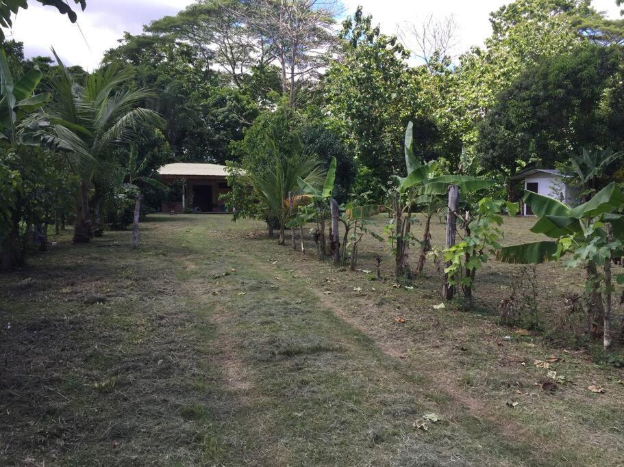 Casa A 26 Kilometros De Jaco Rodeado De Naturaleza Villa Екстериор снимка