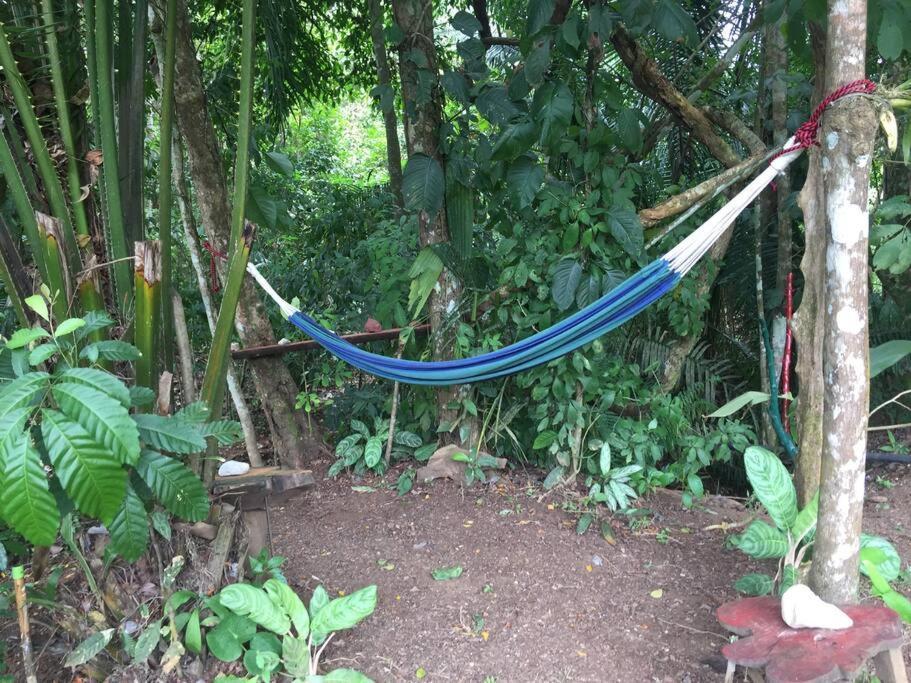 Casa A 26 Kilometros De Jaco Rodeado De Naturaleza Villa Екстериор снимка